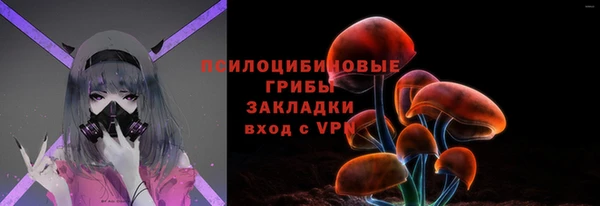 стафф Верея